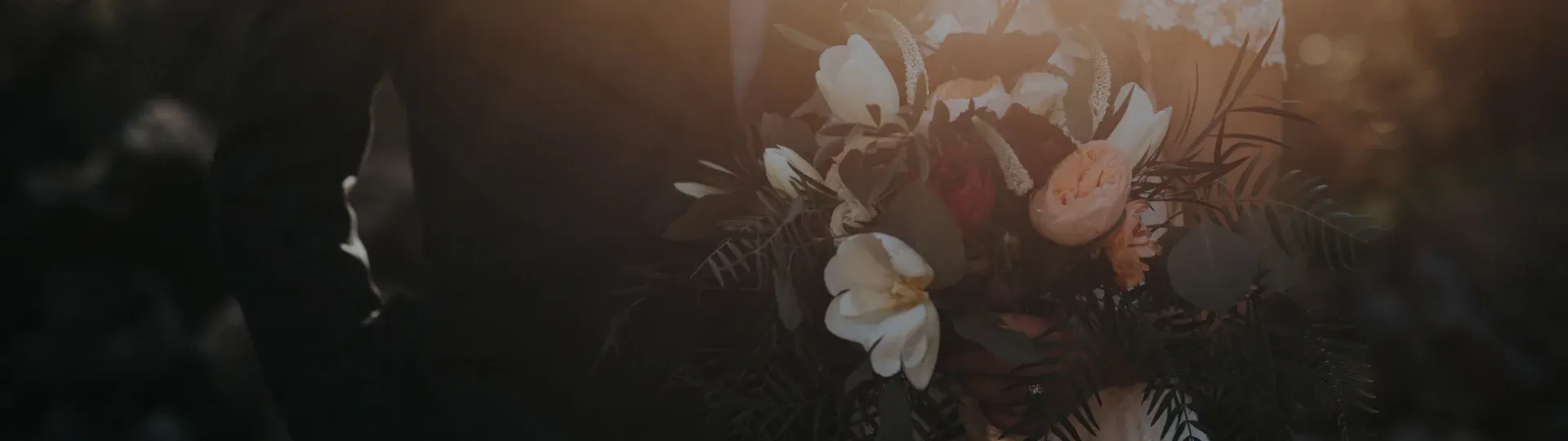 Blommor i mjukt motljus mot en mörk bakgrund.