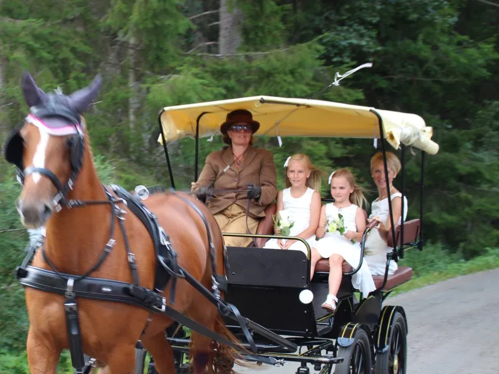 Häst och vagn på grusvägen med brudpar och barn i vagnen en sommardag.