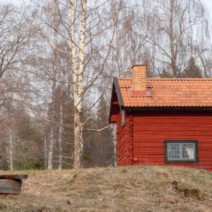 Röd stuga med vit fönsterlist bland björkar i vårljus.