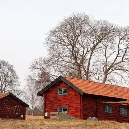 Röd timmerstuga med tegeltak och kala björkar framför.